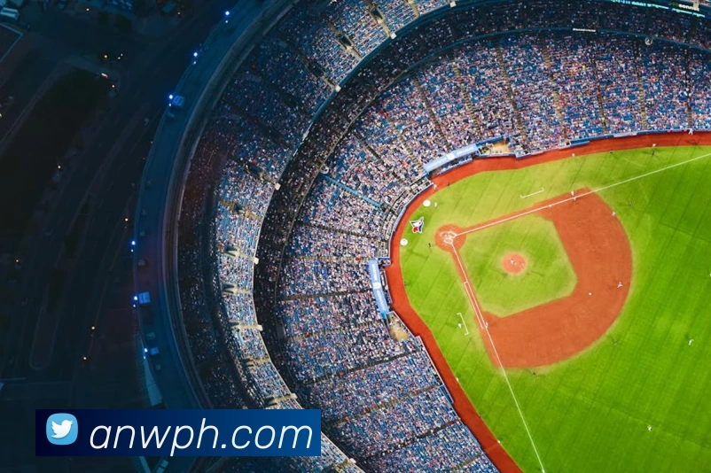 奖项证书